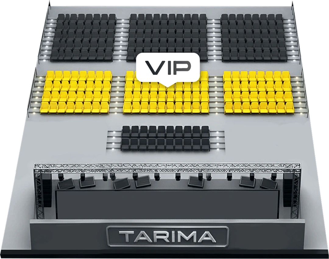 Entrada VIP